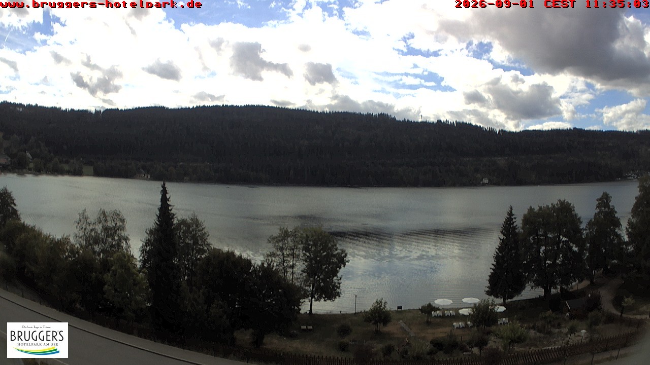 Archived image Webcam Titisee (Black Forest)