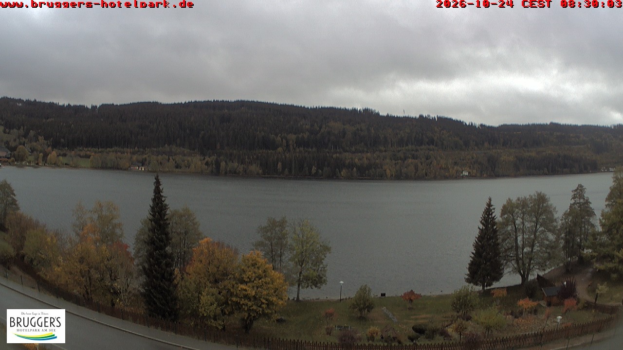 Archived image Webcam Titisee (Black Forest)