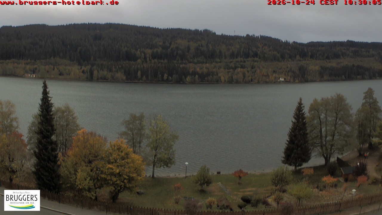 Archived image Webcam Titisee (Black Forest)