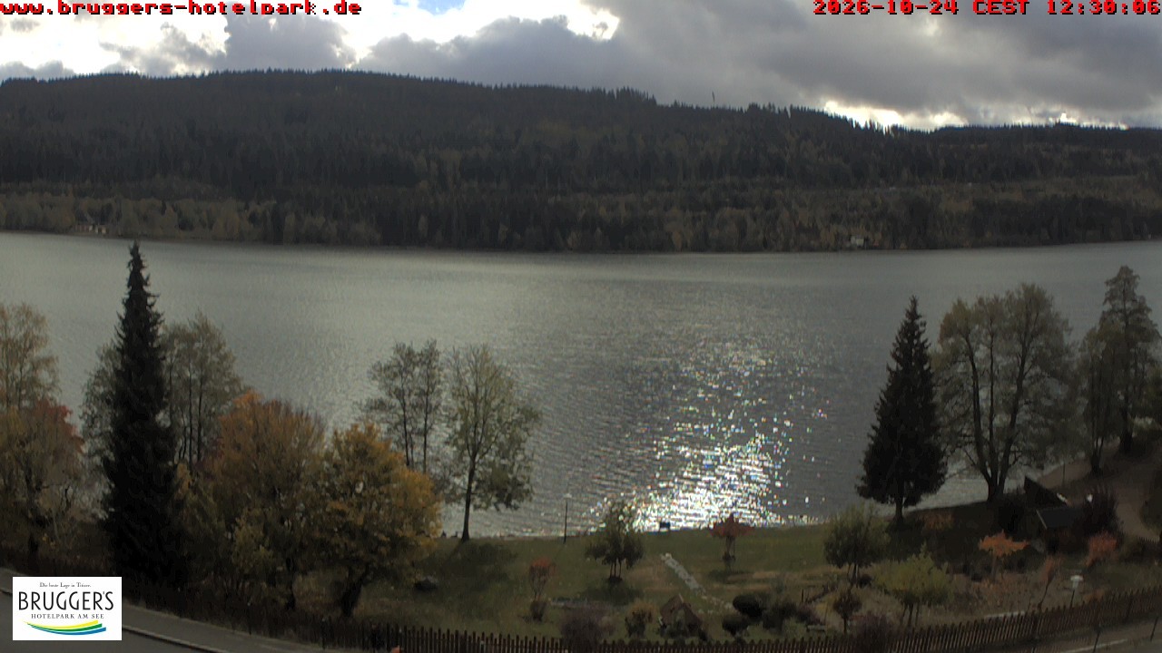 Archived image Webcam Titisee (Black Forest)