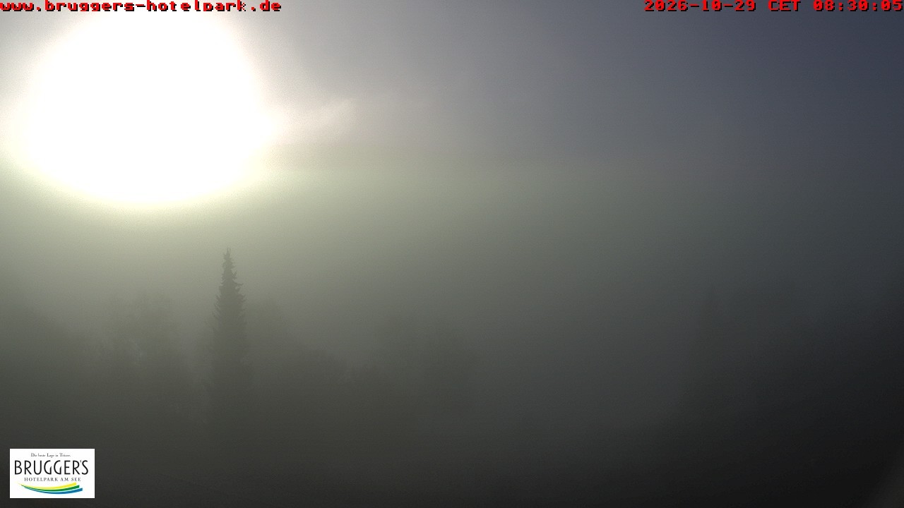 Archiv Foto Webcam Titisee im Schwarzwald