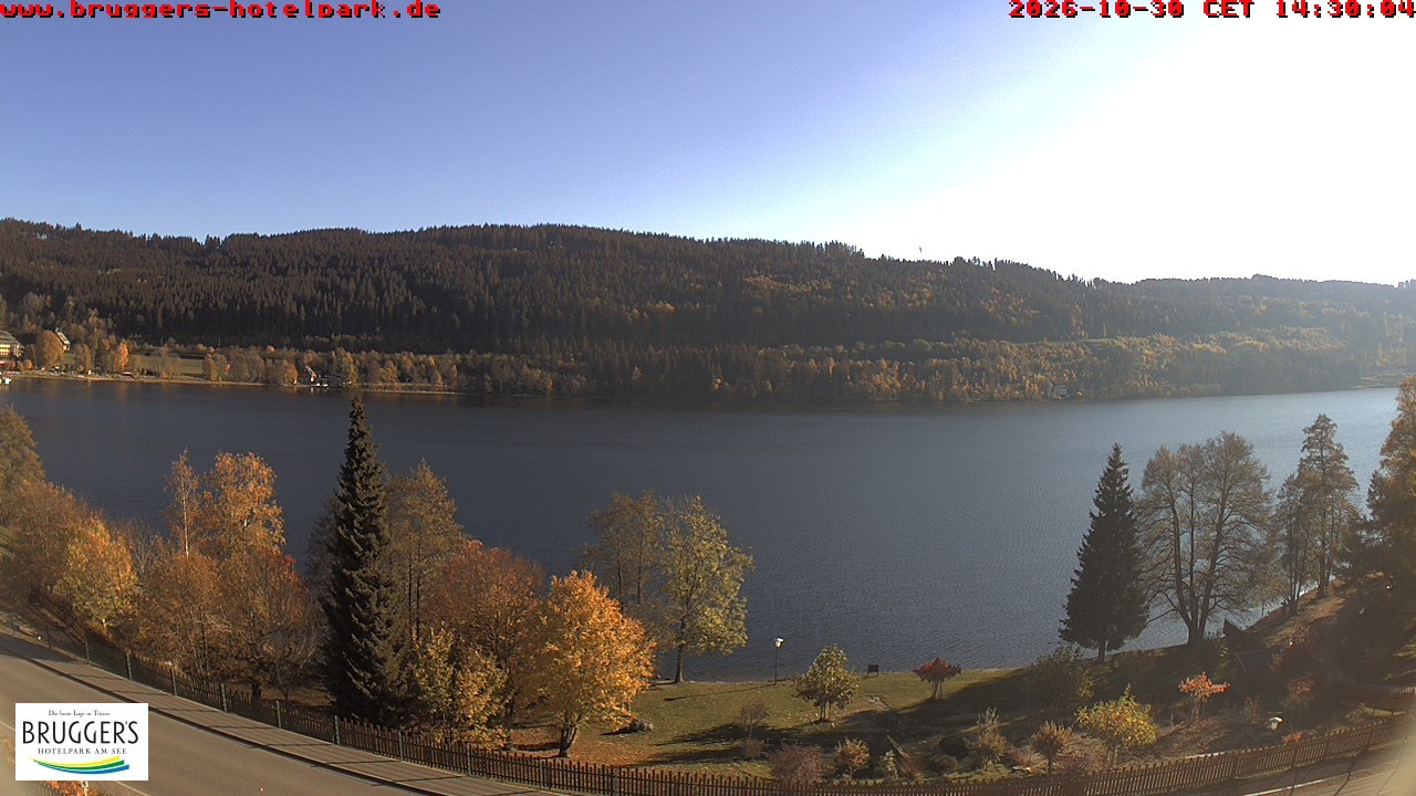 Archiv Foto Webcam Titisee im Schwarzwald