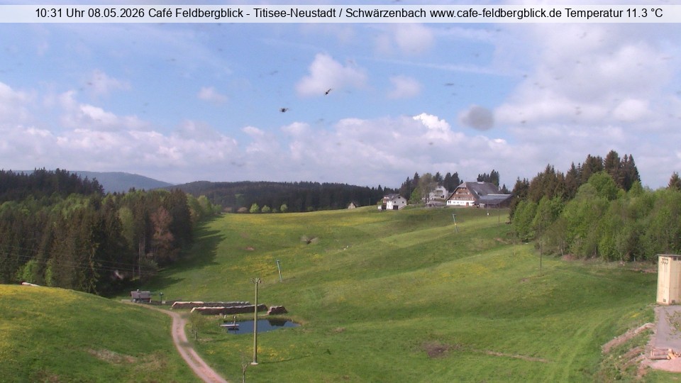 Archiv Foto Webcam Skilift Schwärzenbach