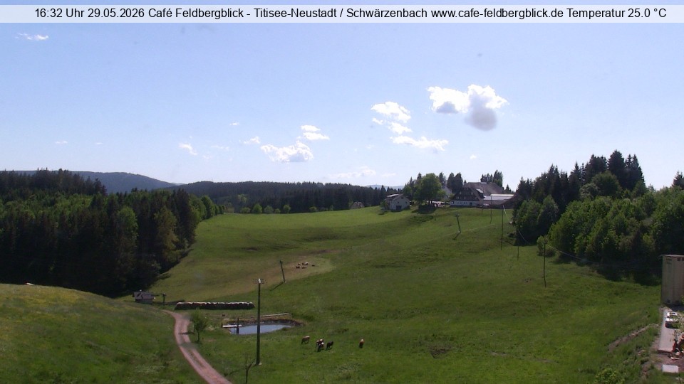Archiv Foto Webcam Skilift Schwärzenbach