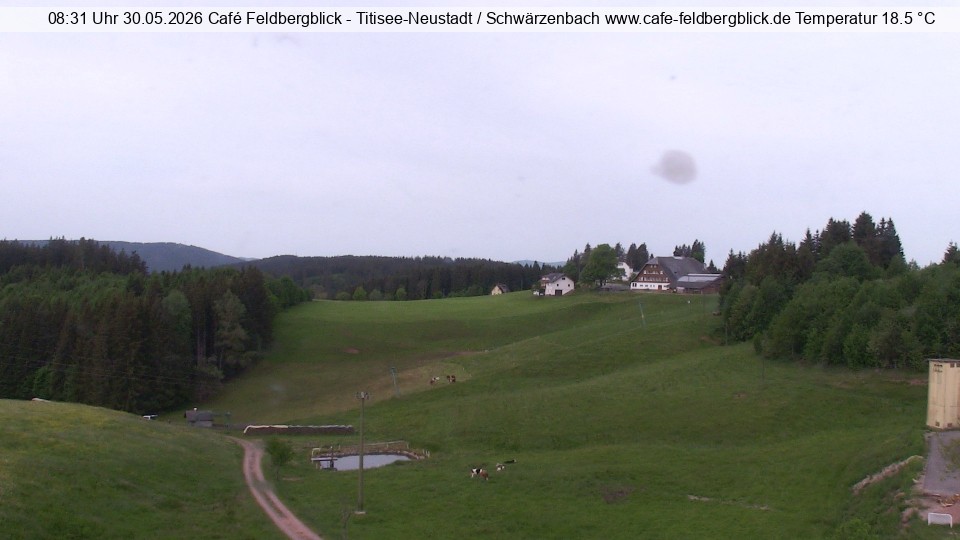 Archived image Webcam Ski lift at Schwärzenbach