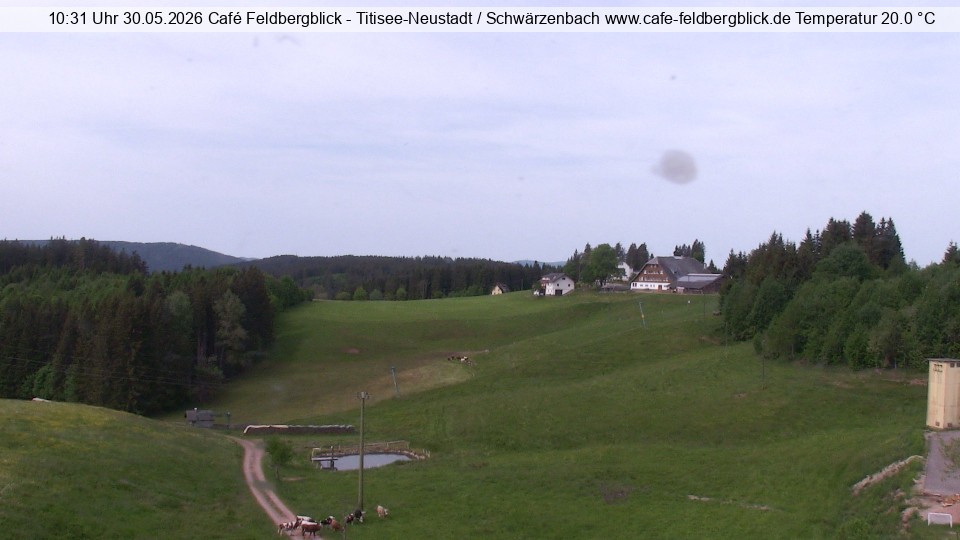 Archived image Webcam Ski lift at Schwärzenbach