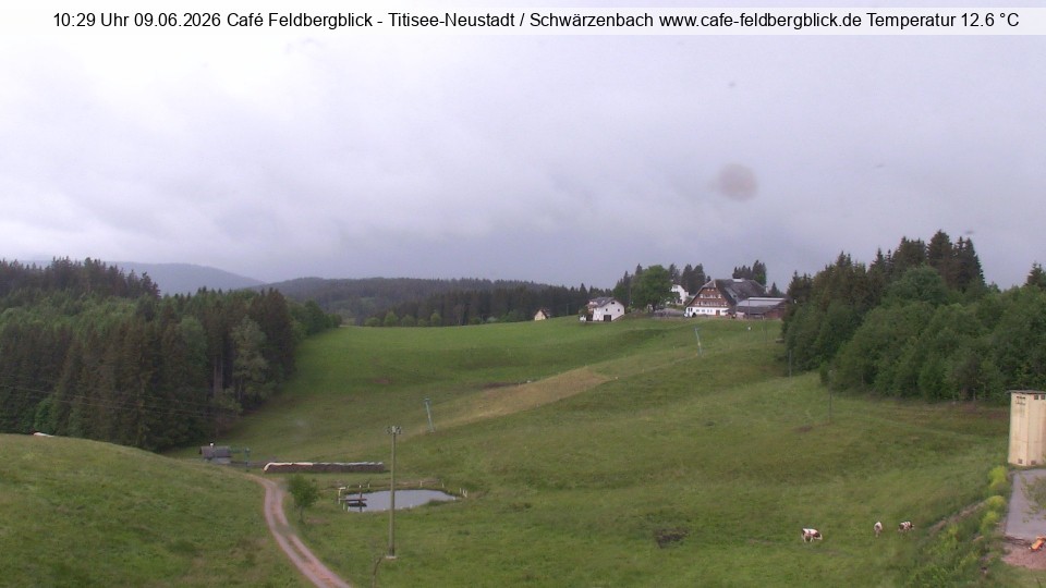 Archiv Foto Webcam Skilift Schwärzenbach