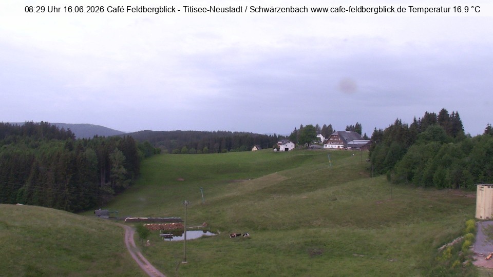 Archived image Webcam Ski lift at Schwärzenbach