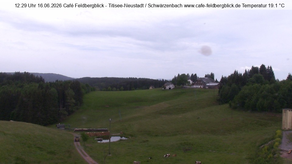 Archiv Foto Webcam Skilift Schwärzenbach