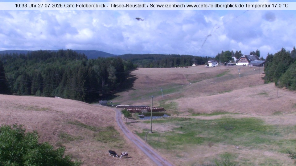 Archiv Foto Webcam Skilift Schwärzenbach