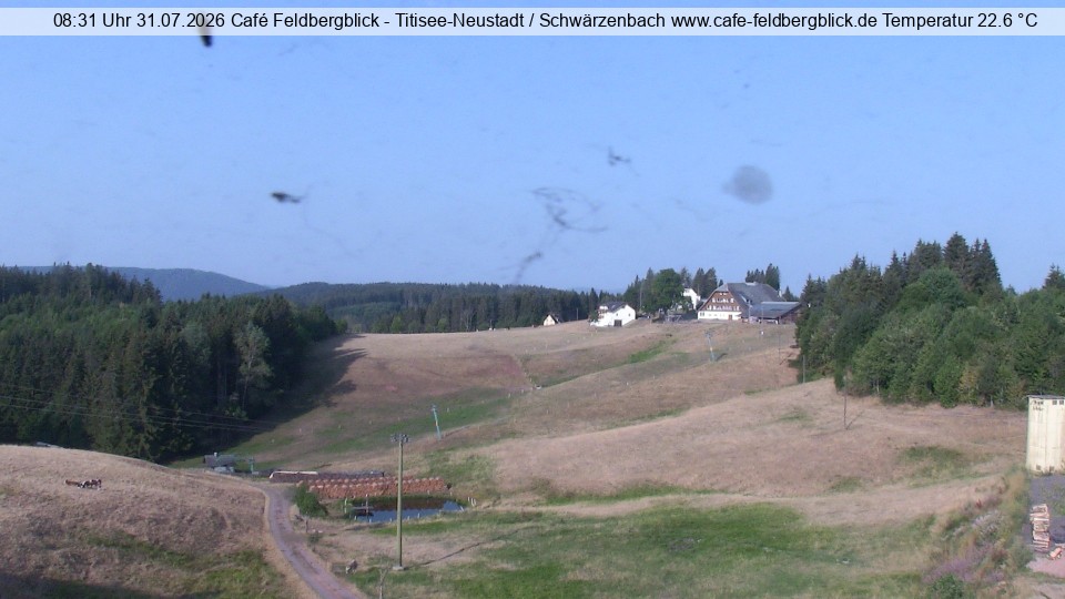 Archiv Foto Webcam Skilift Schwärzenbach