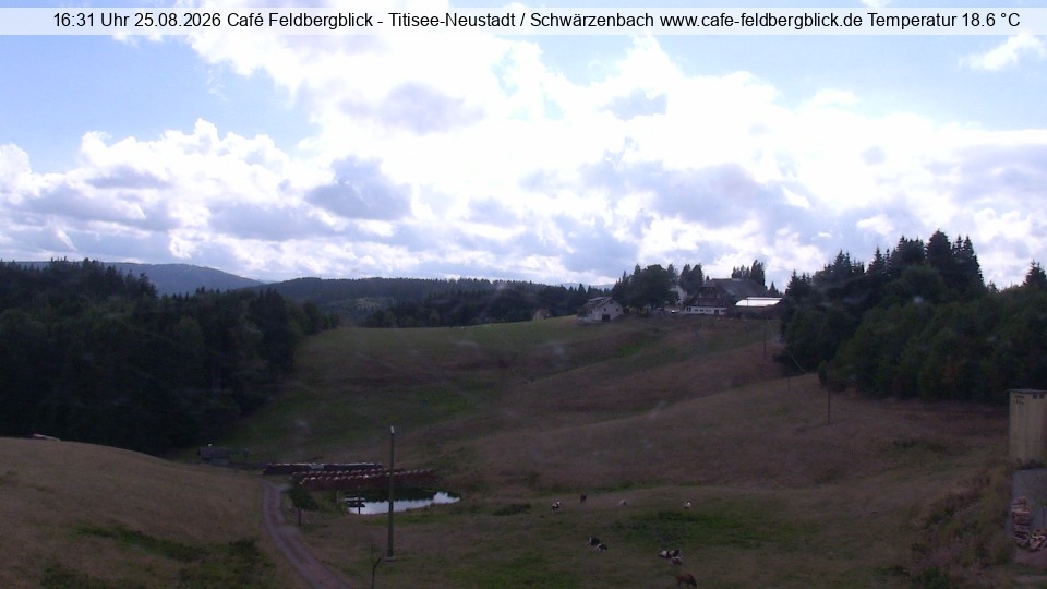 Archiv Foto Webcam Skilift Schwärzenbach