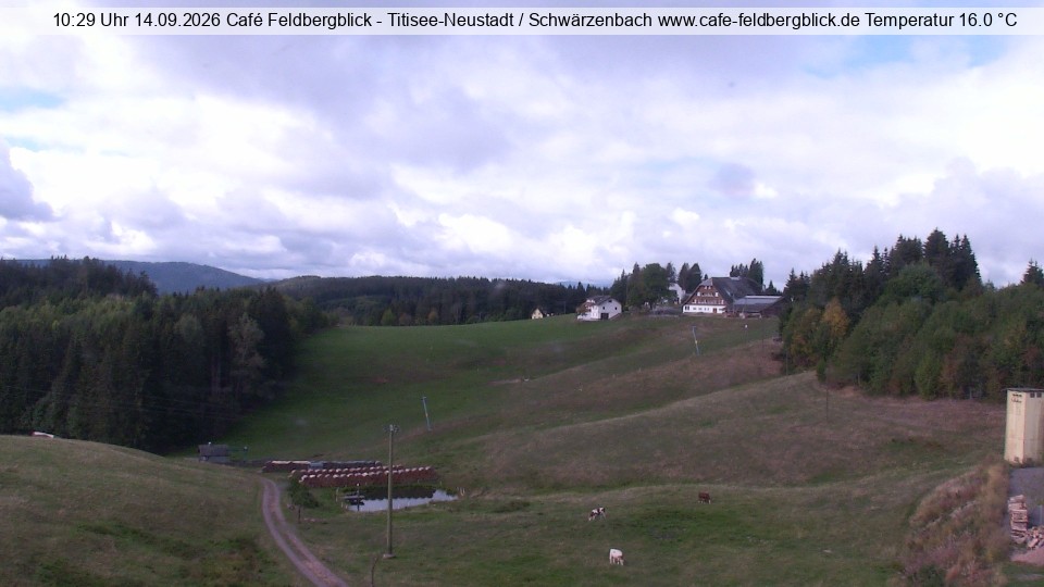 Archived image Webcam Ski lift at Schwärzenbach