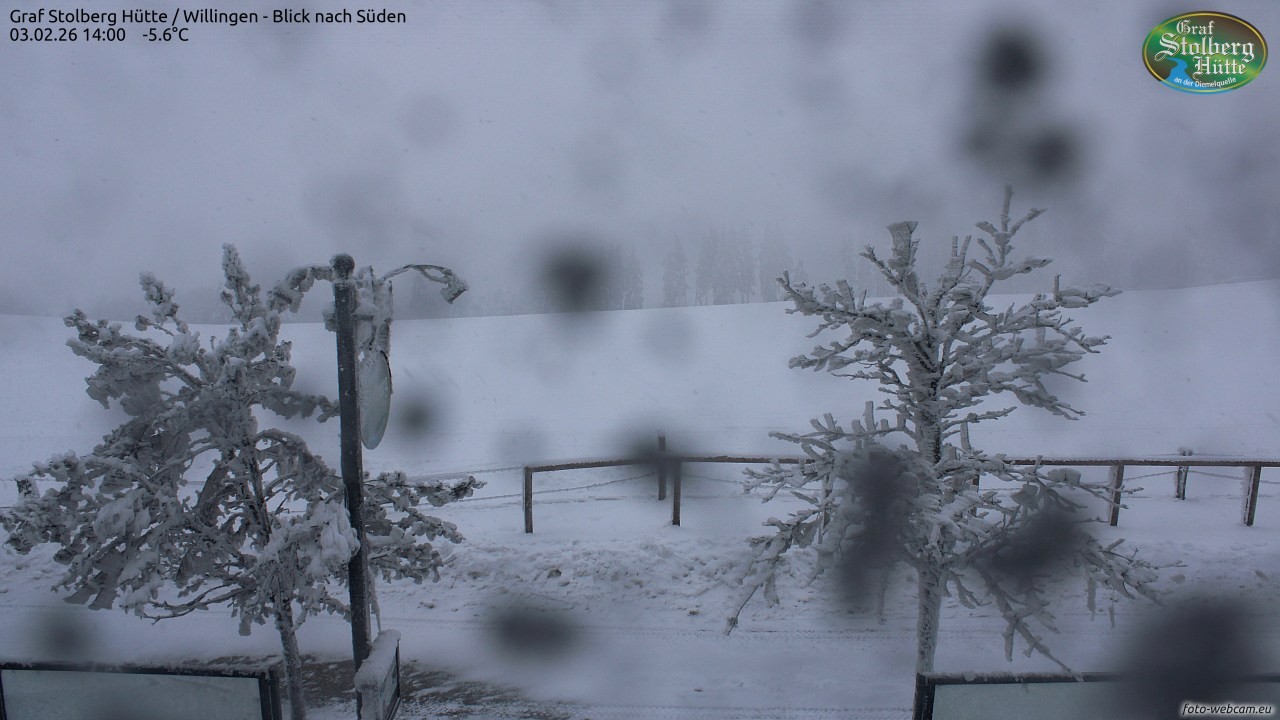 Archiv Foto Webcam Willingen: Graf Stolberg Hütte bei Usseln