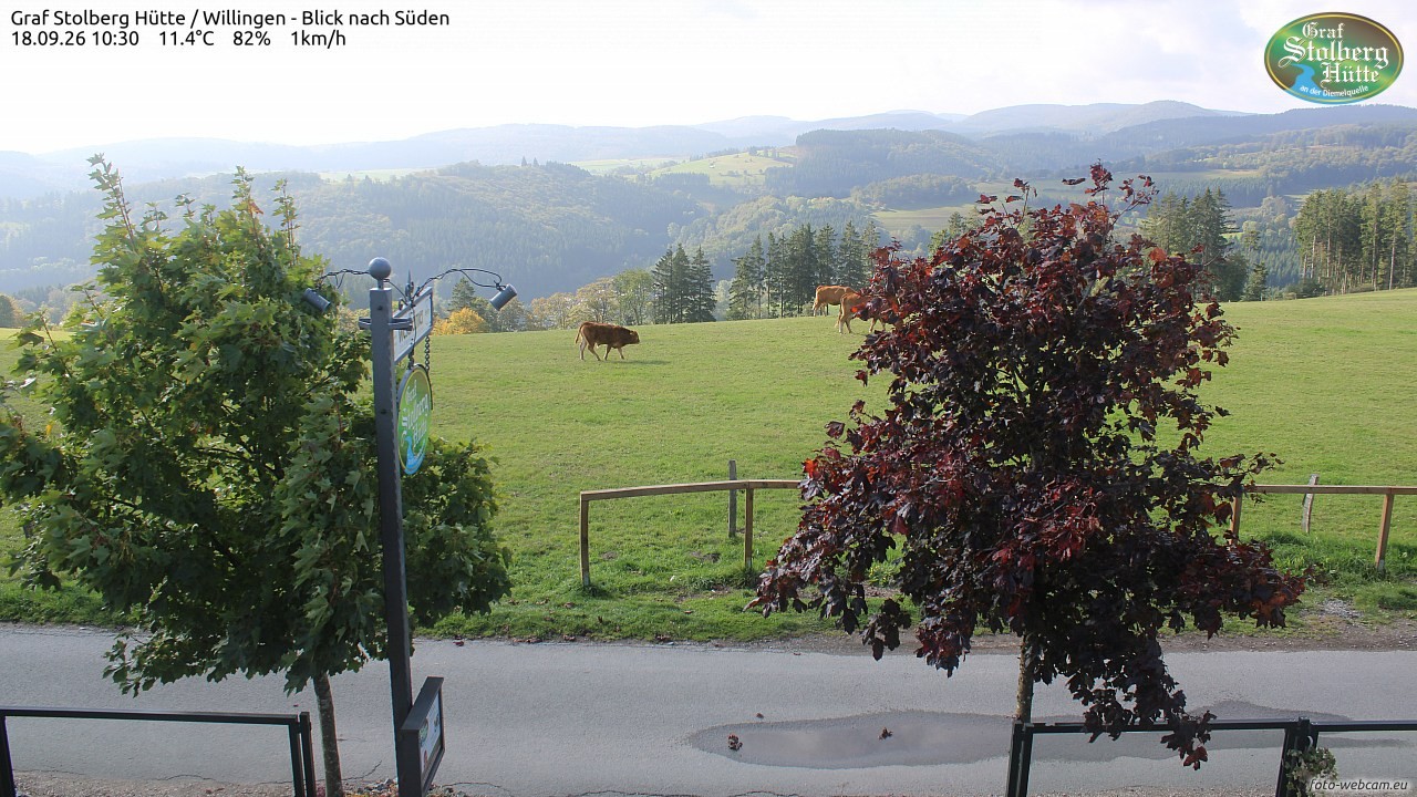 Archived image Webcam Mountain Hut Graf Stolberg near Willingen