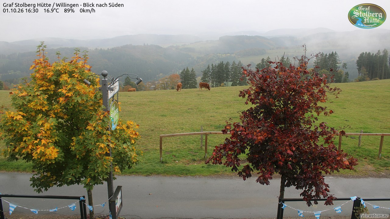 Archived image Webcam Mountain Hut Graf Stolberg near Willingen