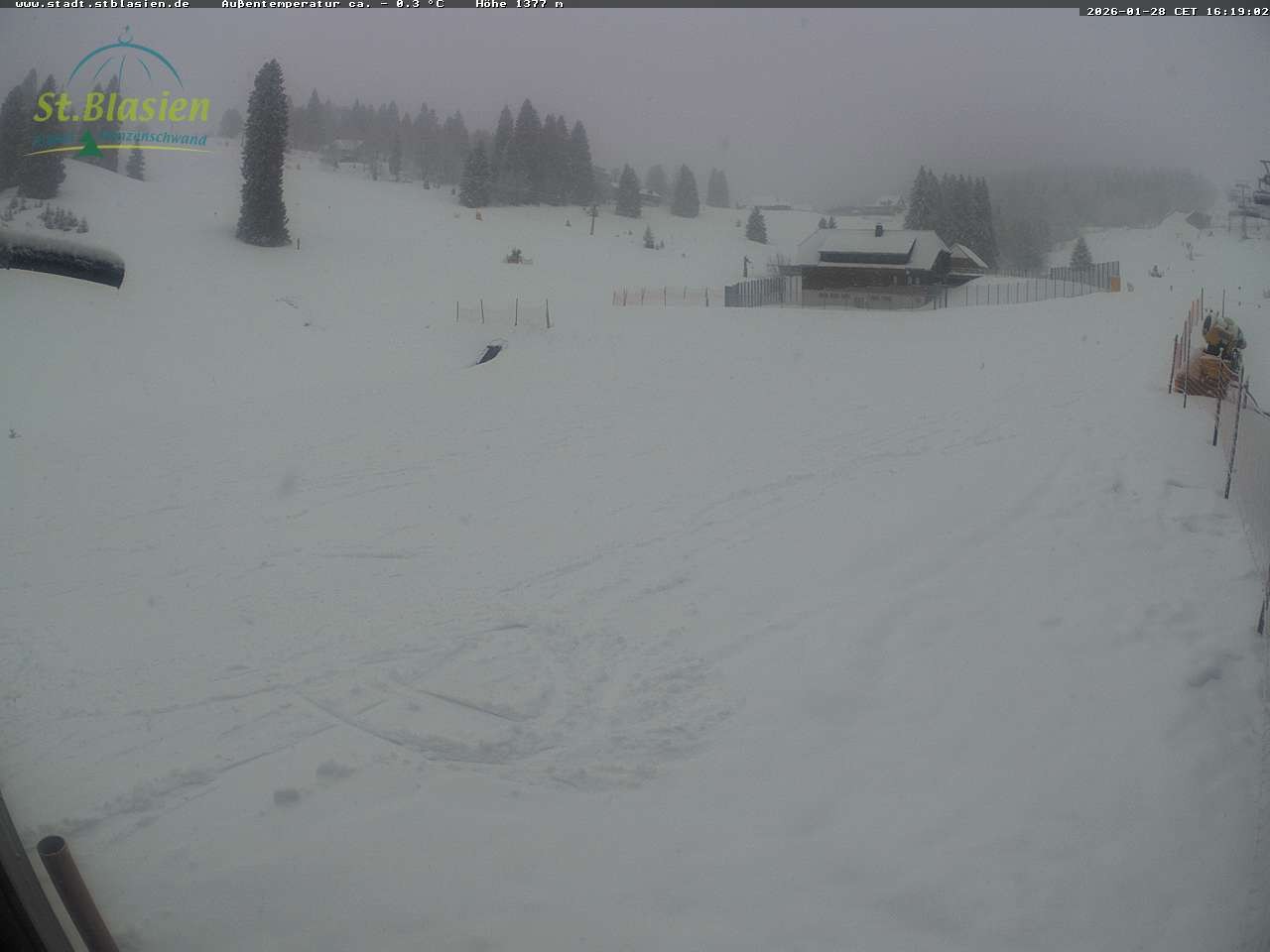 Archiv Foto Webcam Menzenschwander Hütte, Schwarzwald