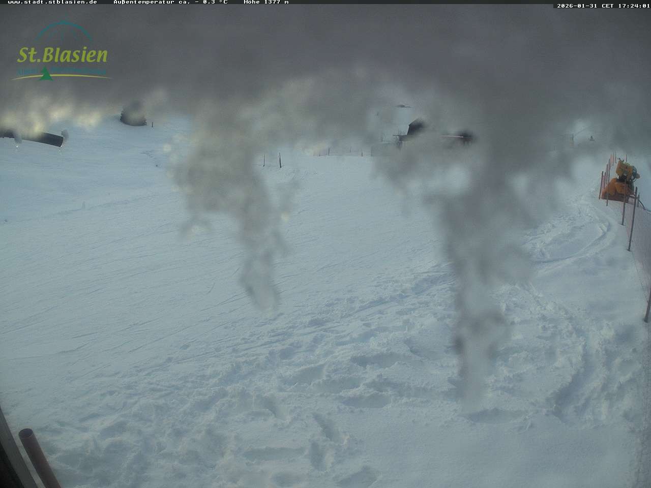 Archived image Webcam Mountain hut Menzenschwand