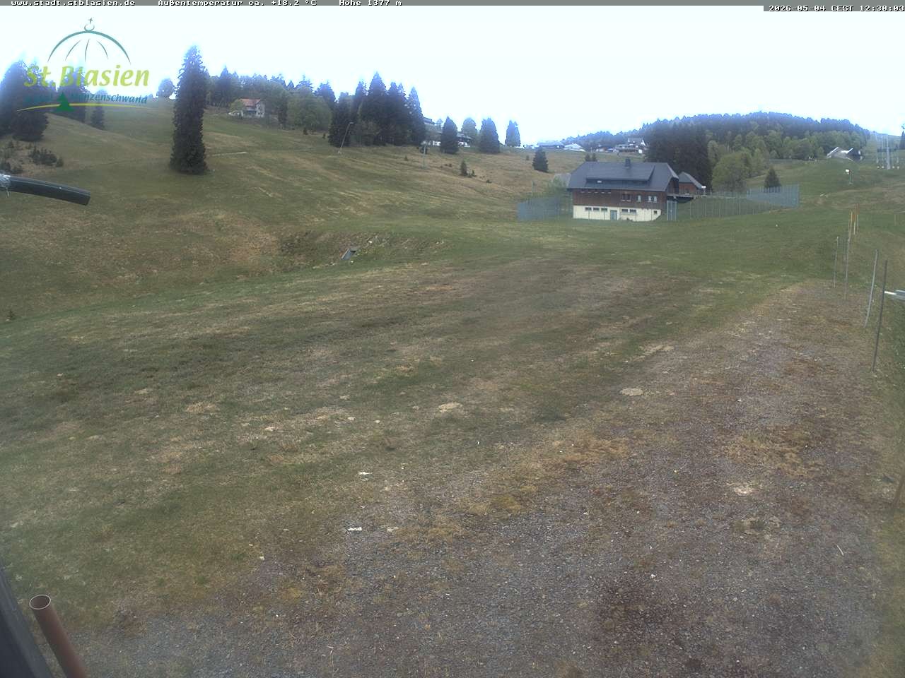 Archived image Webcam Mountain hut Menzenschwand