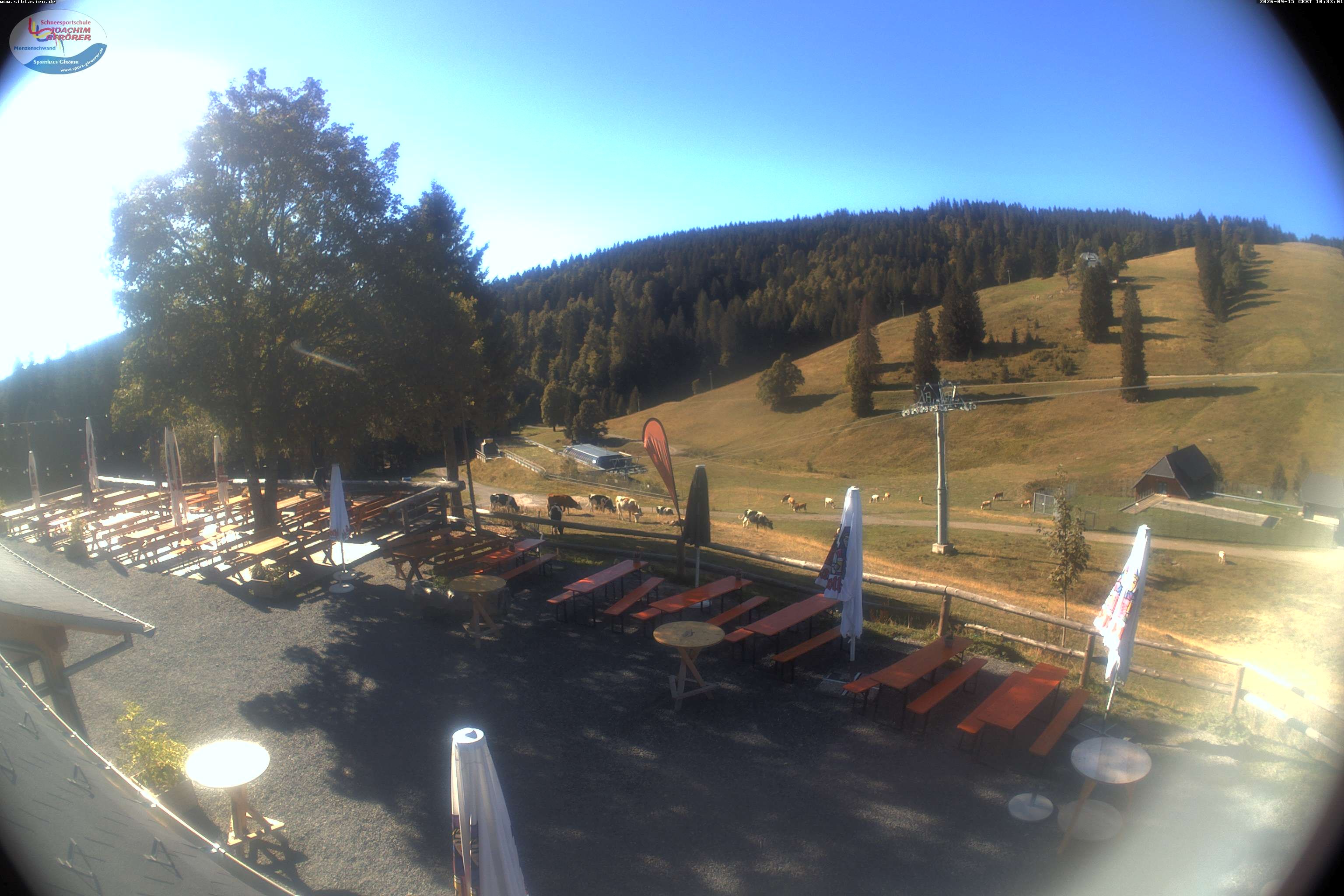 Archiv Foto Webcam Menzenschwander Hütte, Schwarzwald