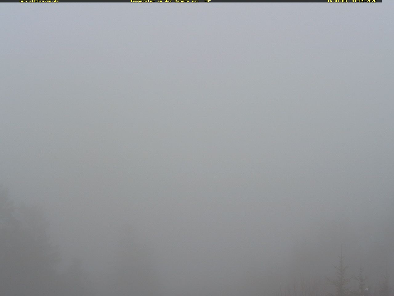 Archiv Foto Webcam Schwarzwald: St. Blasien