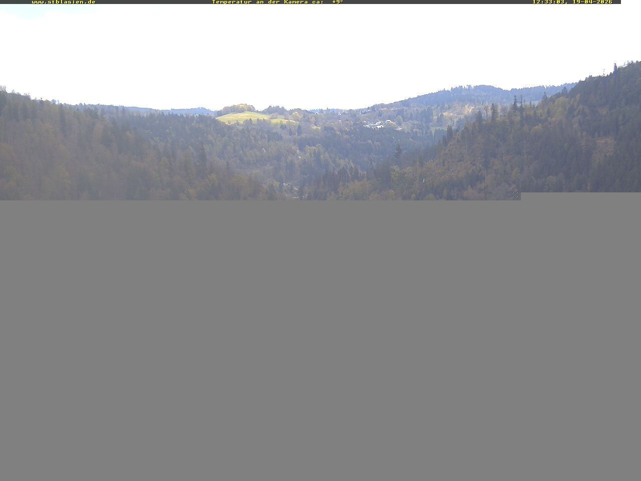 Archiv Foto Webcam Schwarzwald: St. Blasien