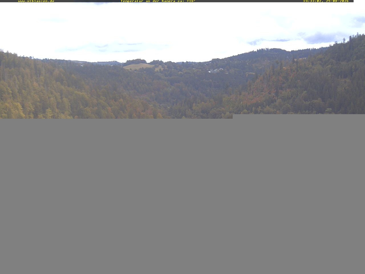 Archiv Foto Webcam Schwarzwald: St. Blasien