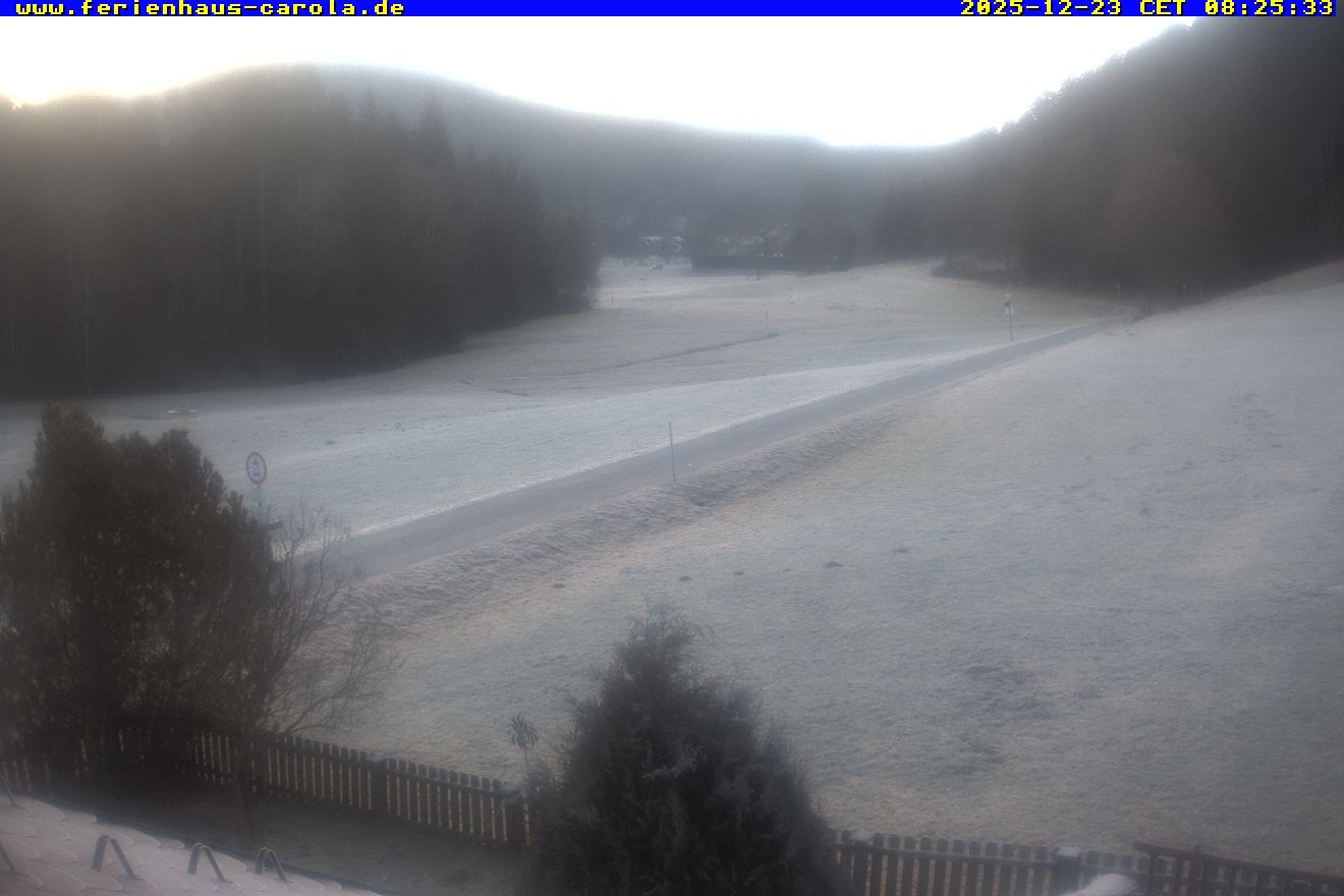 Archiv Foto Webcam Ferienhaus Carola in Hinterzarten