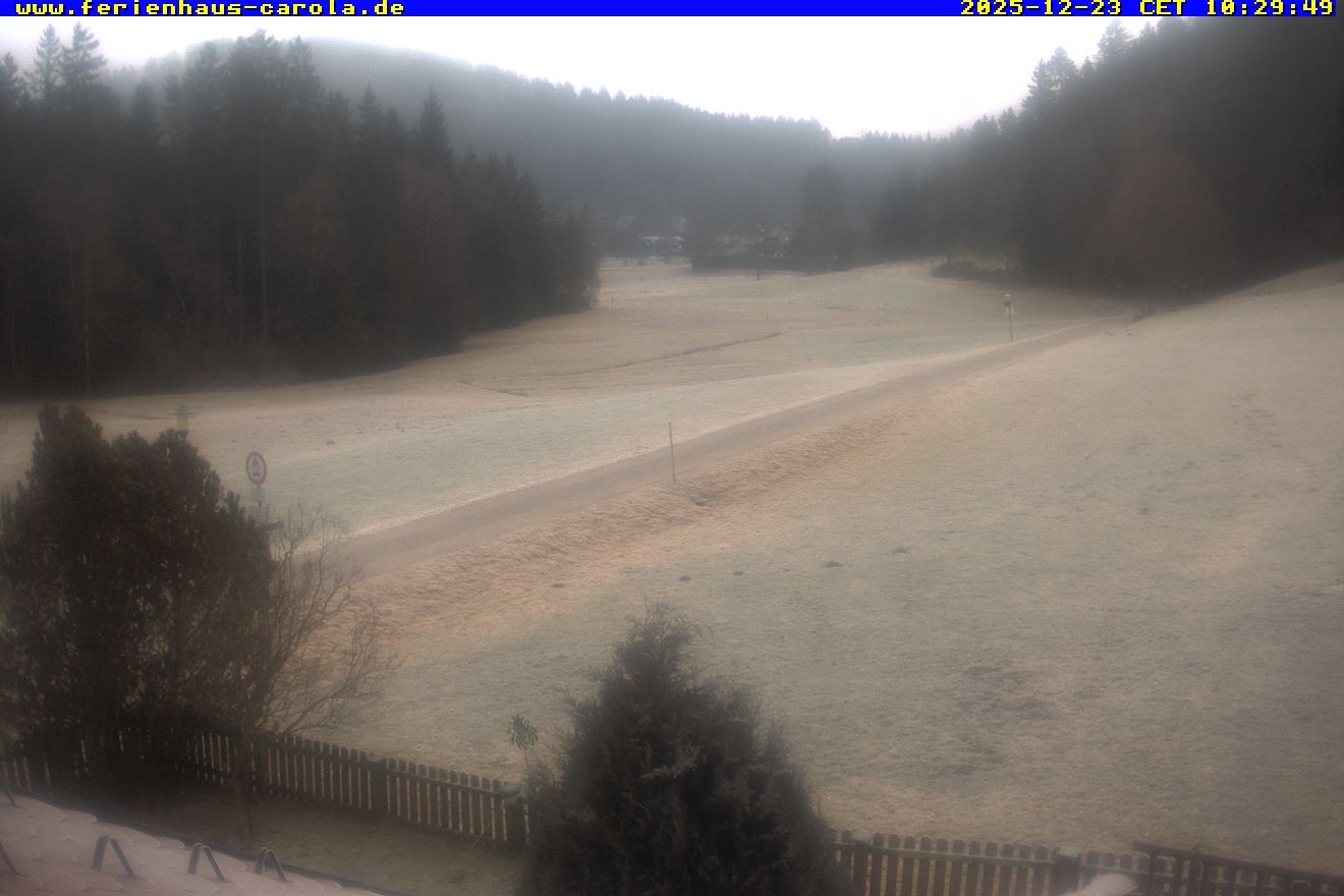 Archiv Foto Webcam Ferienhaus Carola in Hinterzarten
