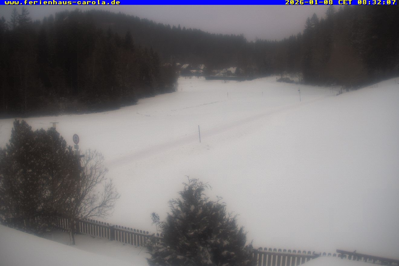 Archiv Foto Webcam Ferienhaus Carola in Hinterzarten