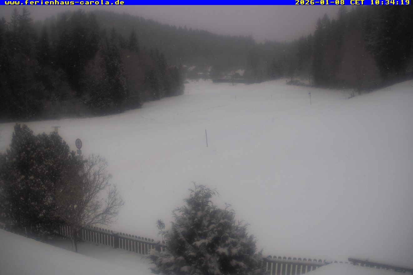 Archiv Foto Webcam Ferienhaus Carola in Hinterzarten