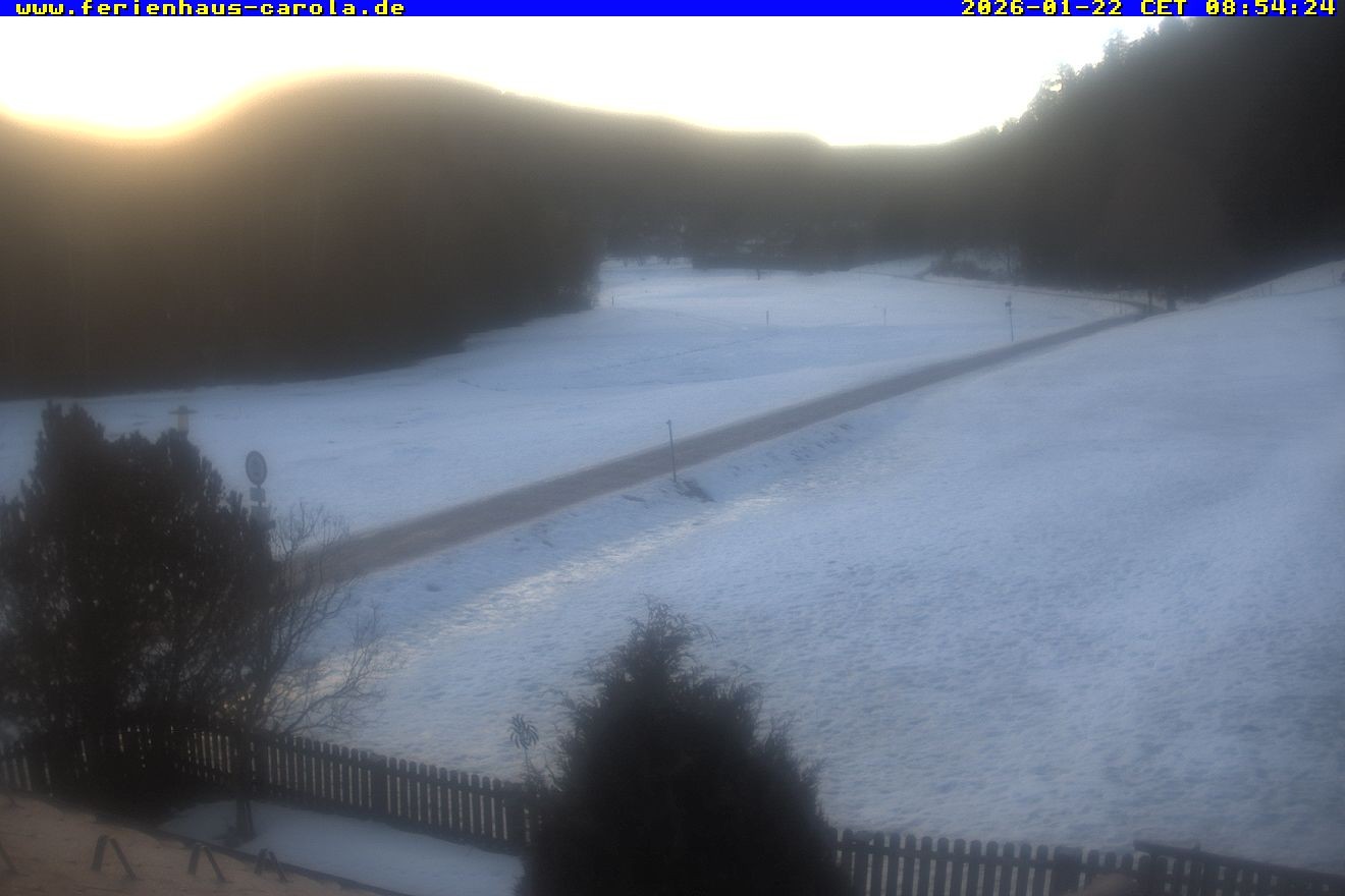 Archived image Webcam Holiday lodge Carola at Hinterzarten