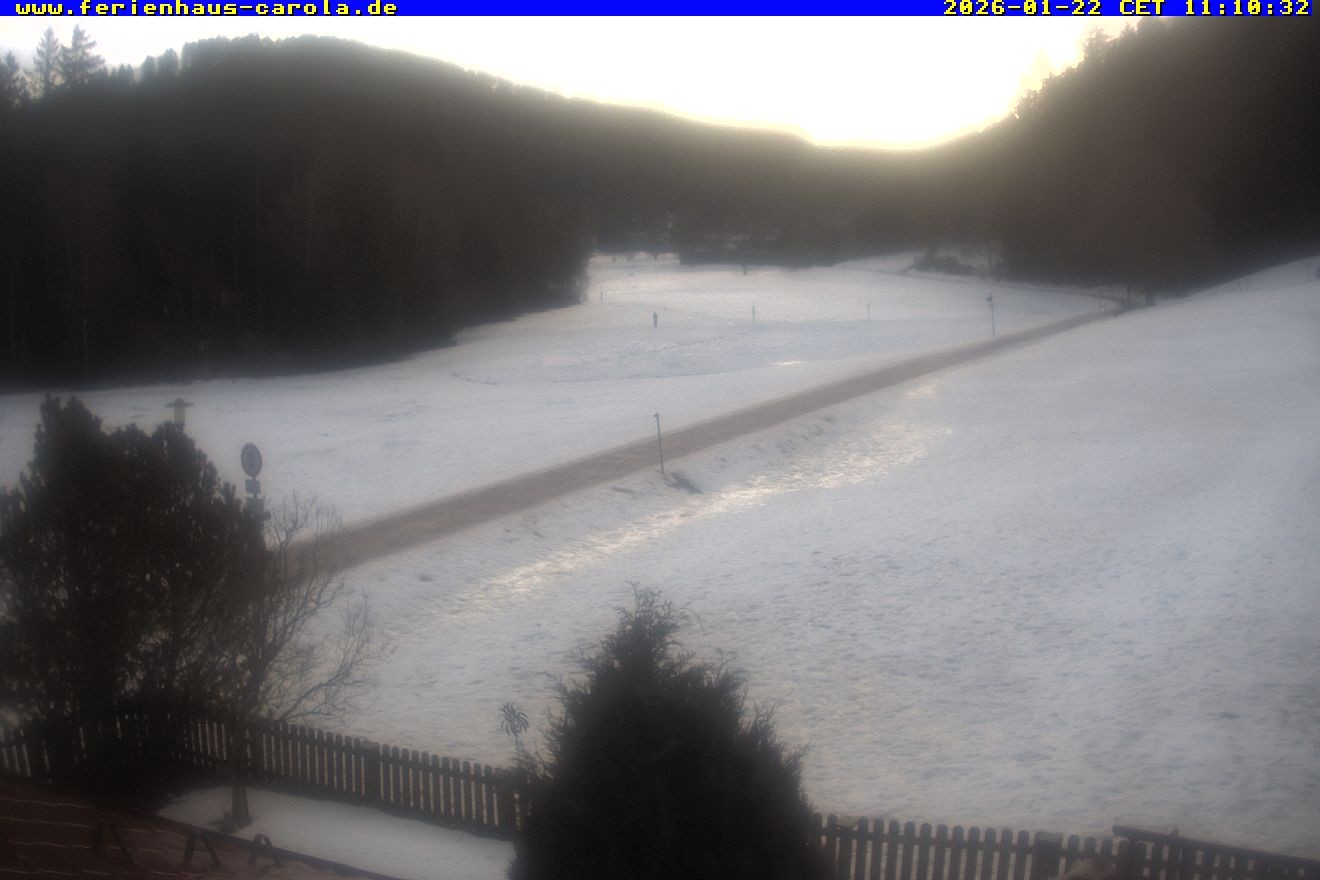 Archived image Webcam Holiday lodge Carola at Hinterzarten
