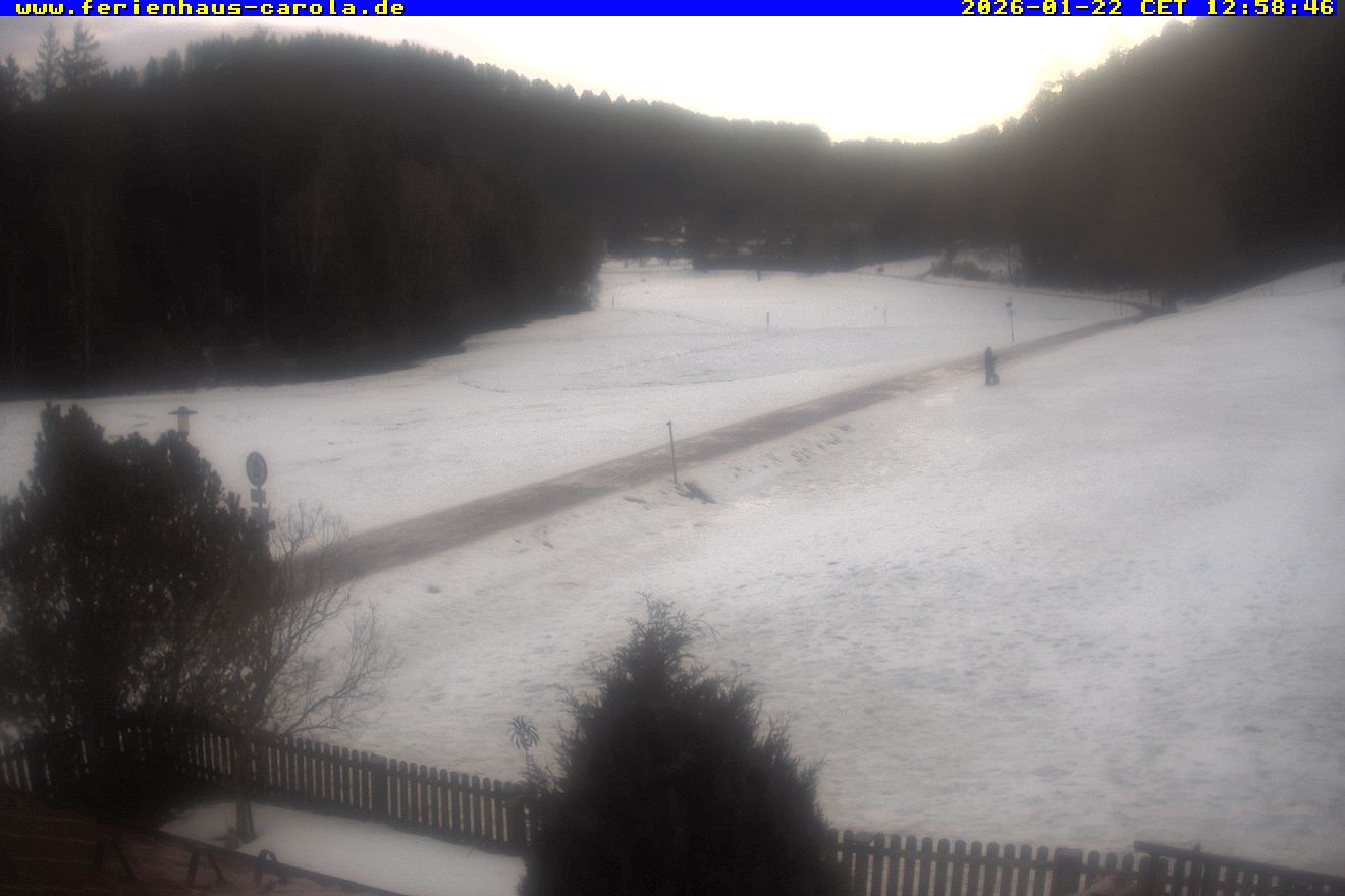 Archived image Webcam Holiday lodge Carola at Hinterzarten