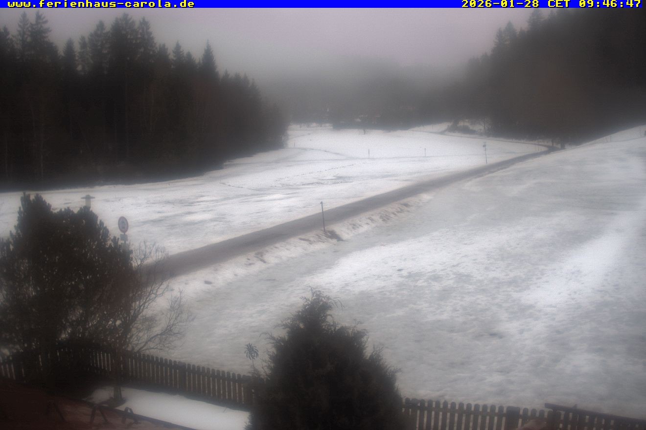 Archiv Foto Webcam Ferienhaus Carola in Hinterzarten