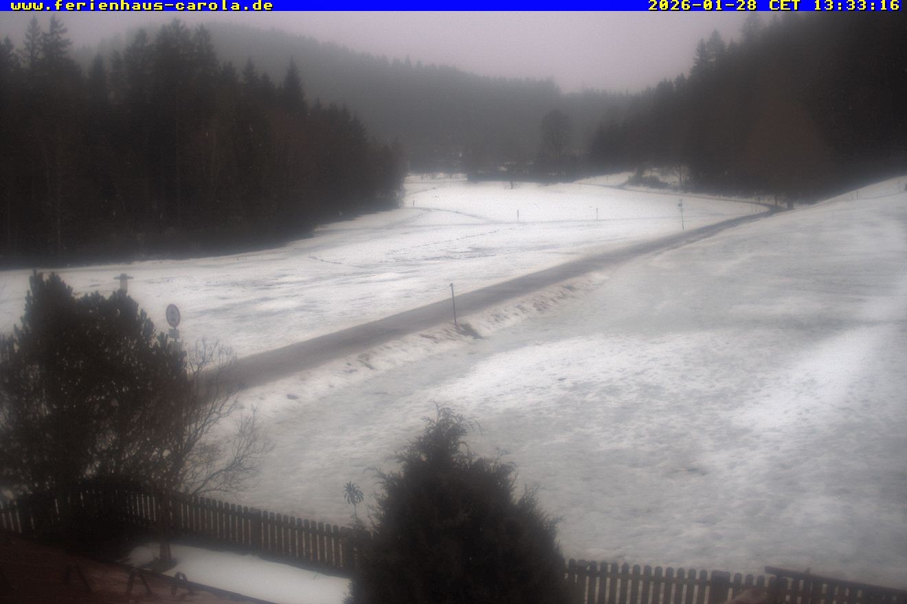 Archiv Foto Webcam Ferienhaus Carola in Hinterzarten