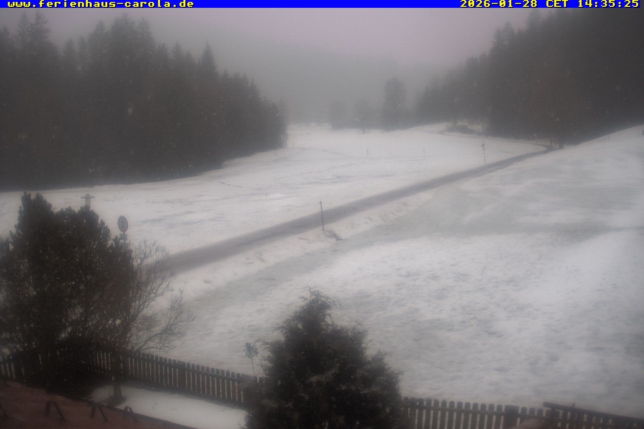 Archiv Foto Webcam Ferienhaus Carola in Hinterzarten