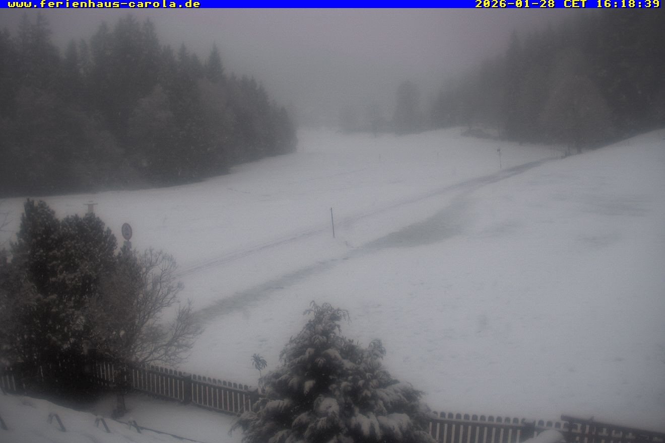 Archiv Foto Webcam Ferienhaus Carola in Hinterzarten