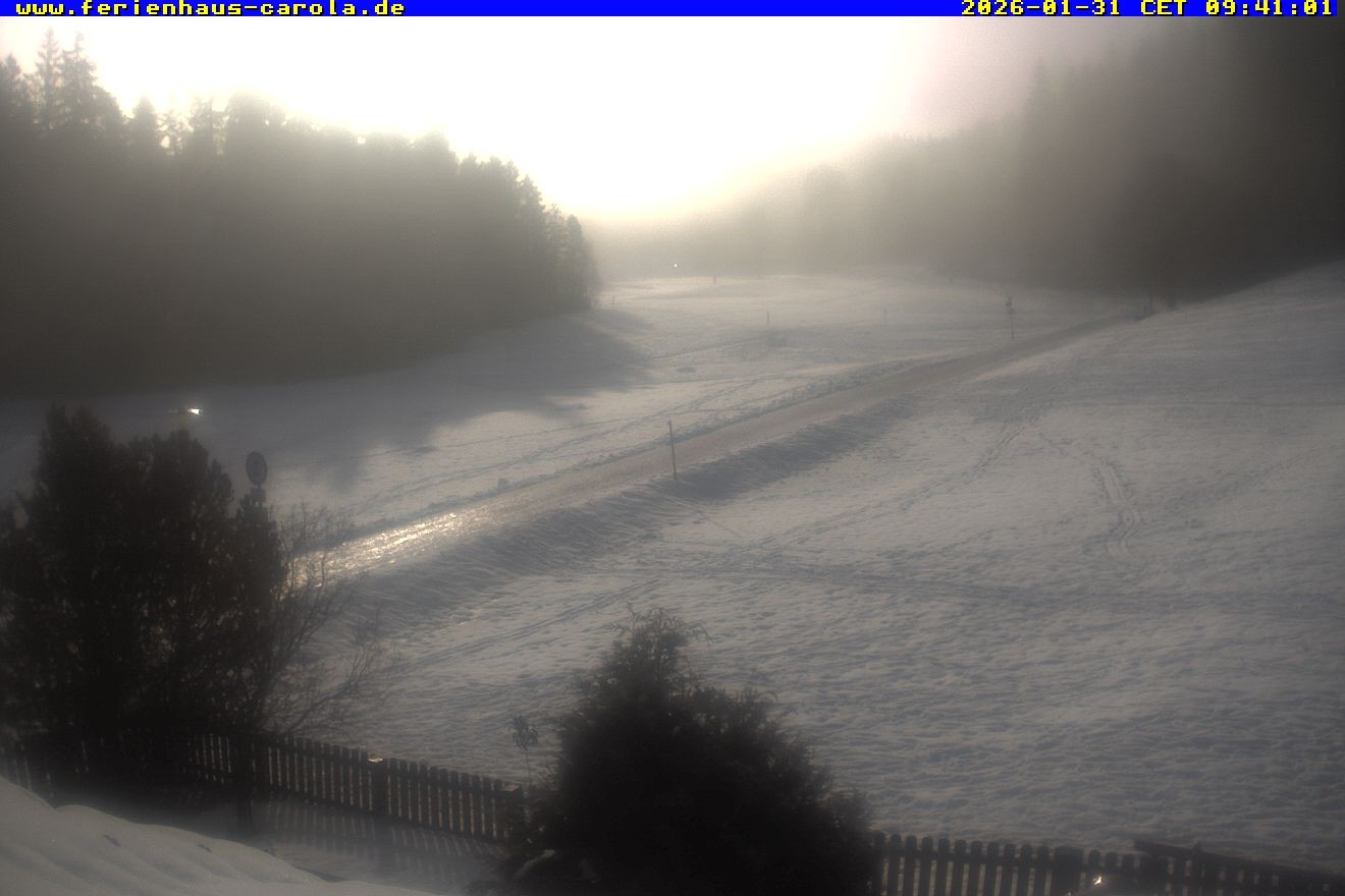 Archiv Foto Webcam Ferienhaus Carola in Hinterzarten