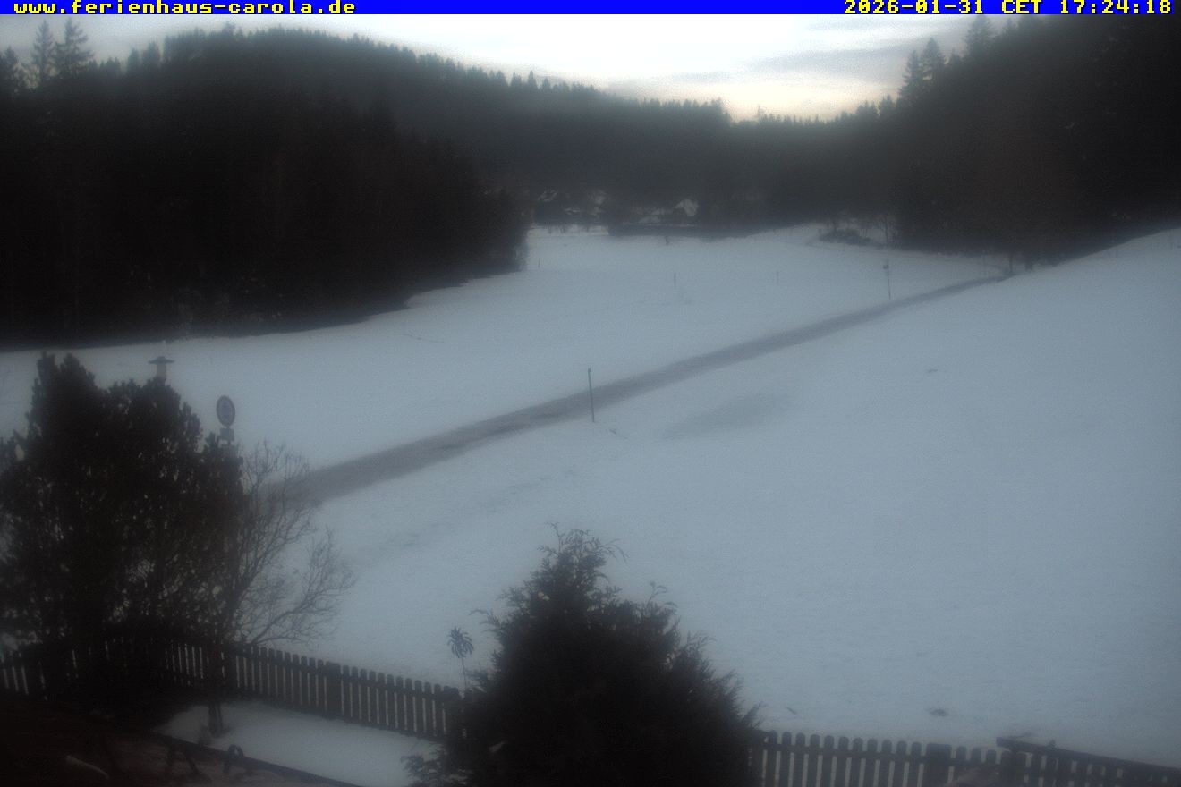 Archiv Foto Webcam Ferienhaus Carola in Hinterzarten