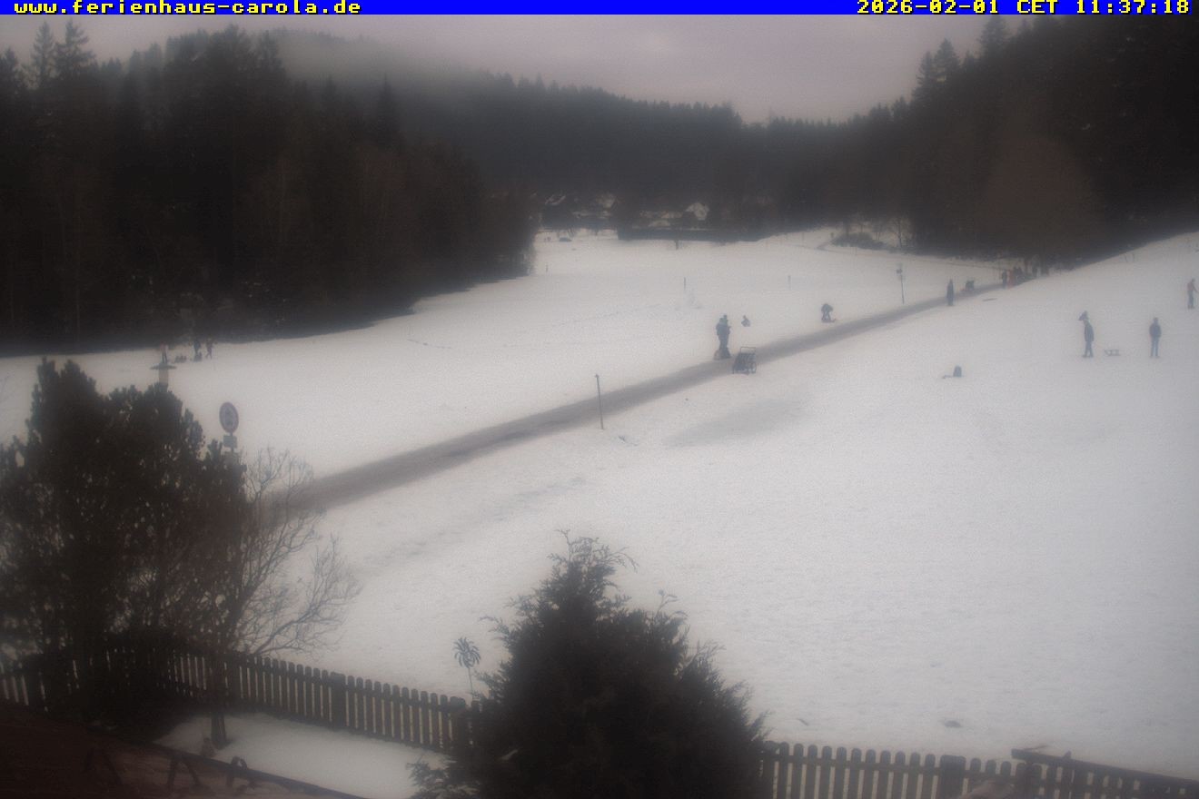 Archiv Foto Webcam Ferienhaus Carola in Hinterzarten