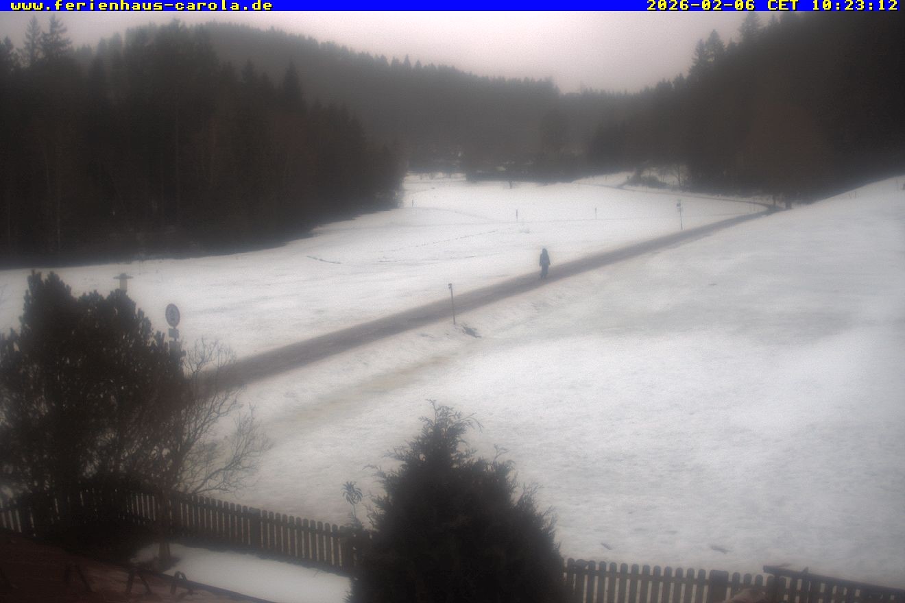 Archiv Foto Webcam Ferienhaus Carola in Hinterzarten