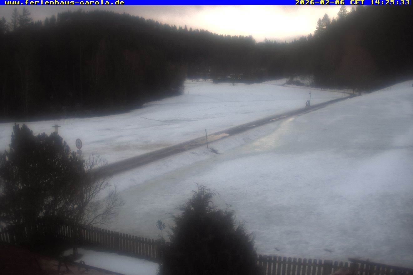Archiv Foto Webcam Ferienhaus Carola in Hinterzarten
