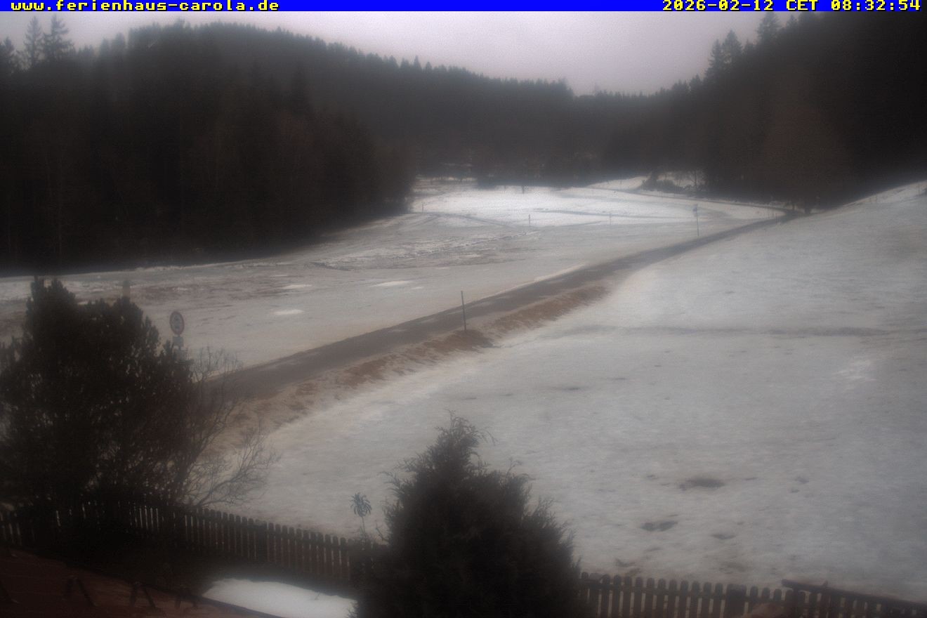 Archiv Foto Webcam Ferienhaus Carola in Hinterzarten