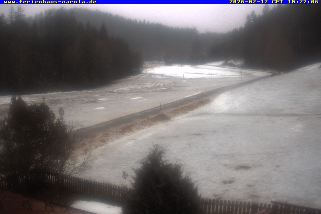 Archiv Foto Webcam Ferienhaus Carola in Hinterzarten