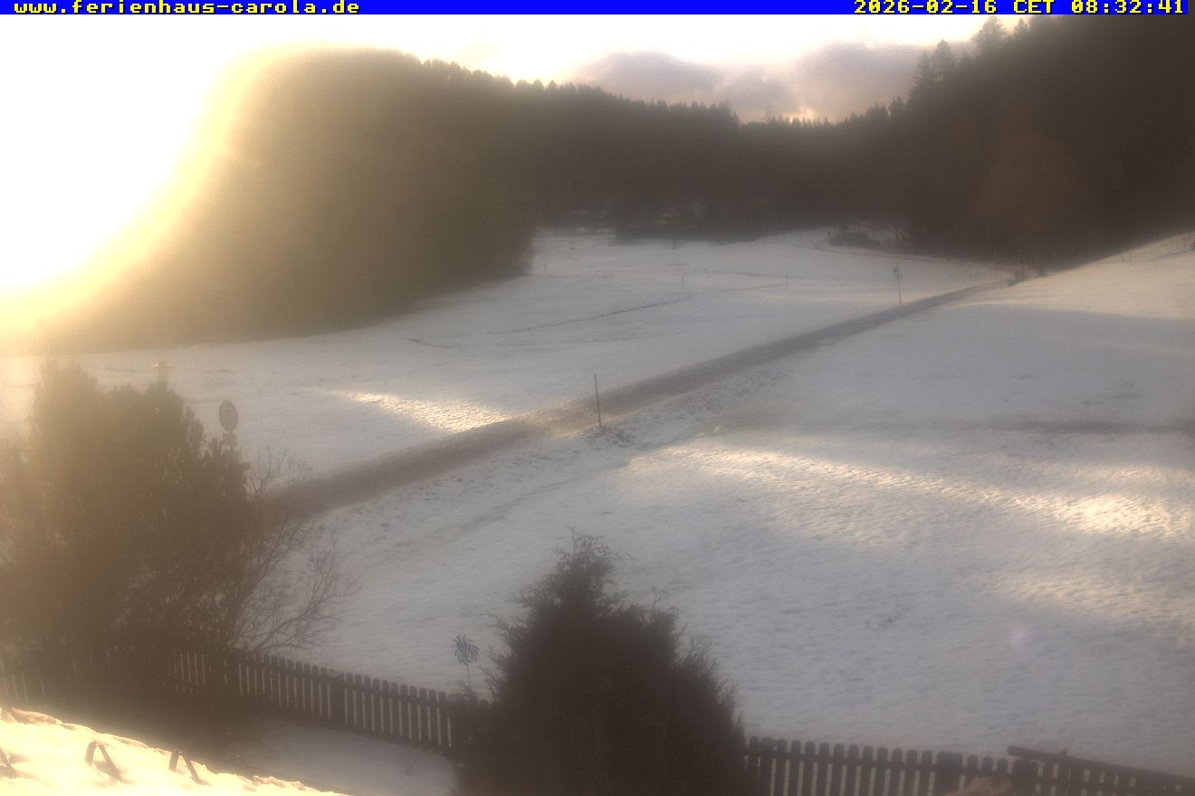 Archiv Foto Webcam Ferienhaus Carola in Hinterzarten