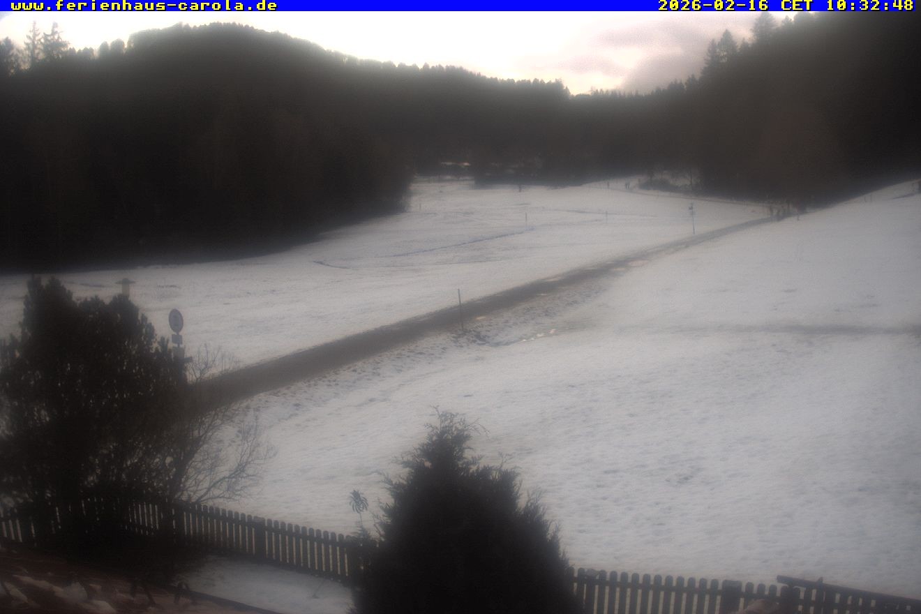 Archiv Foto Webcam Ferienhaus Carola in Hinterzarten