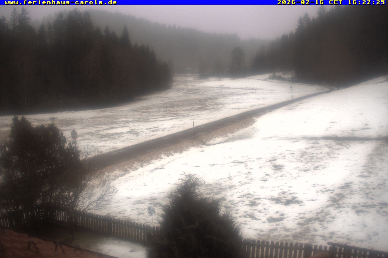 Archiv Foto Webcam Ferienhaus Carola in Hinterzarten