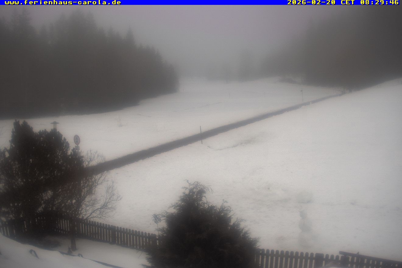 Archiv Foto Webcam Ferienhaus Carola in Hinterzarten