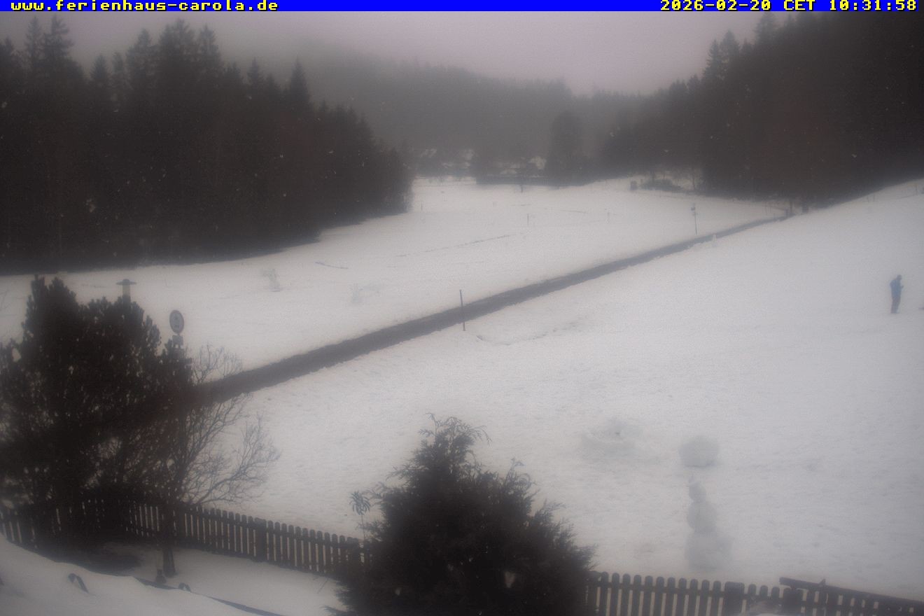 Archiv Foto Webcam Ferienhaus Carola in Hinterzarten